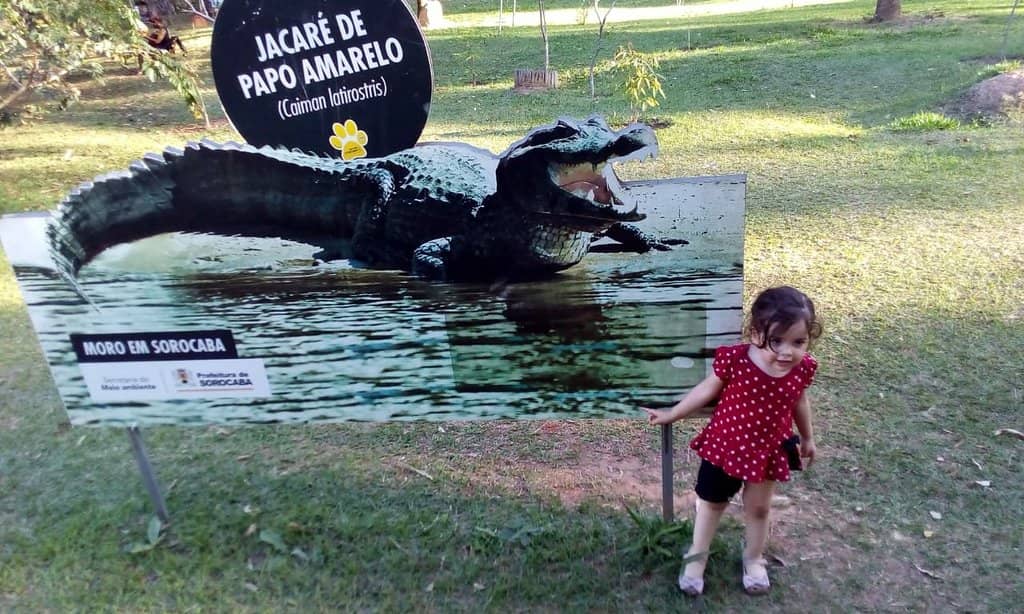 Amazon & Atlantic Flora