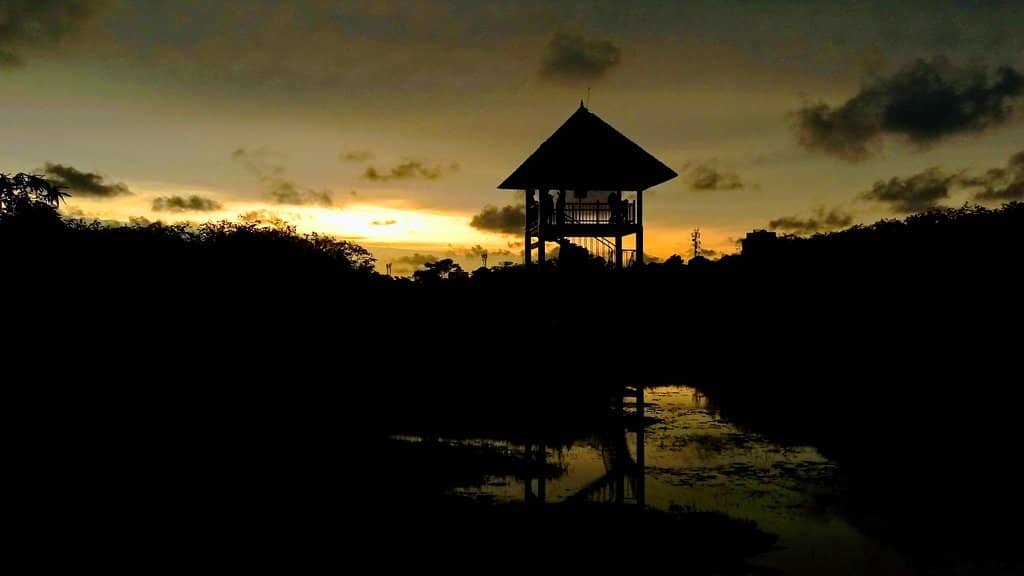 Bird Watching Tower