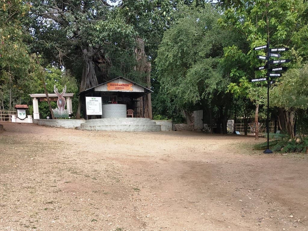 Butterfly Garden