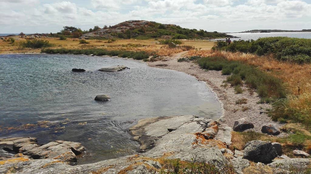 Coastal Walking Paths