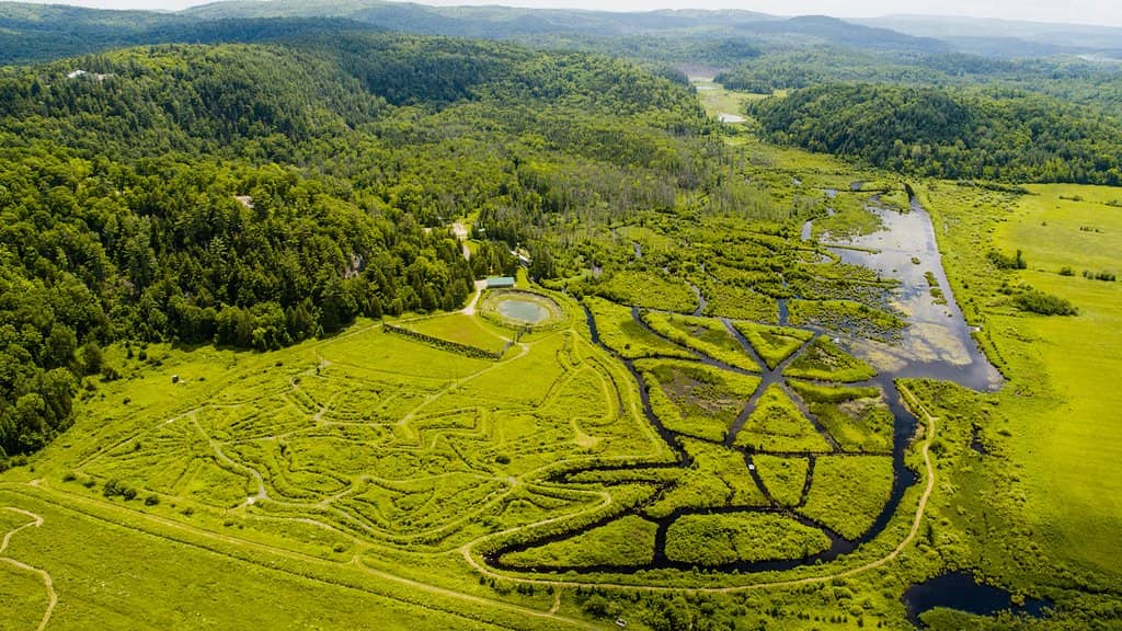 Wildlife Observation