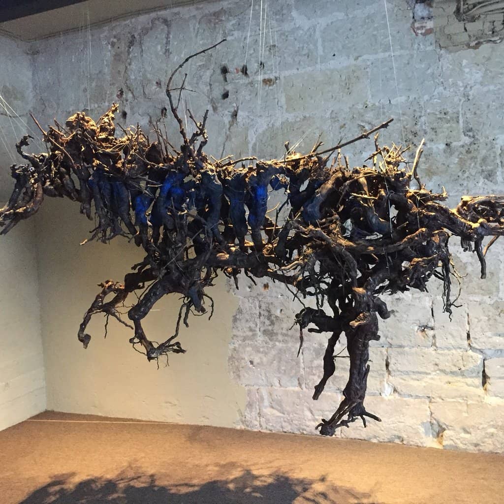 Sparkling Wine Tasting