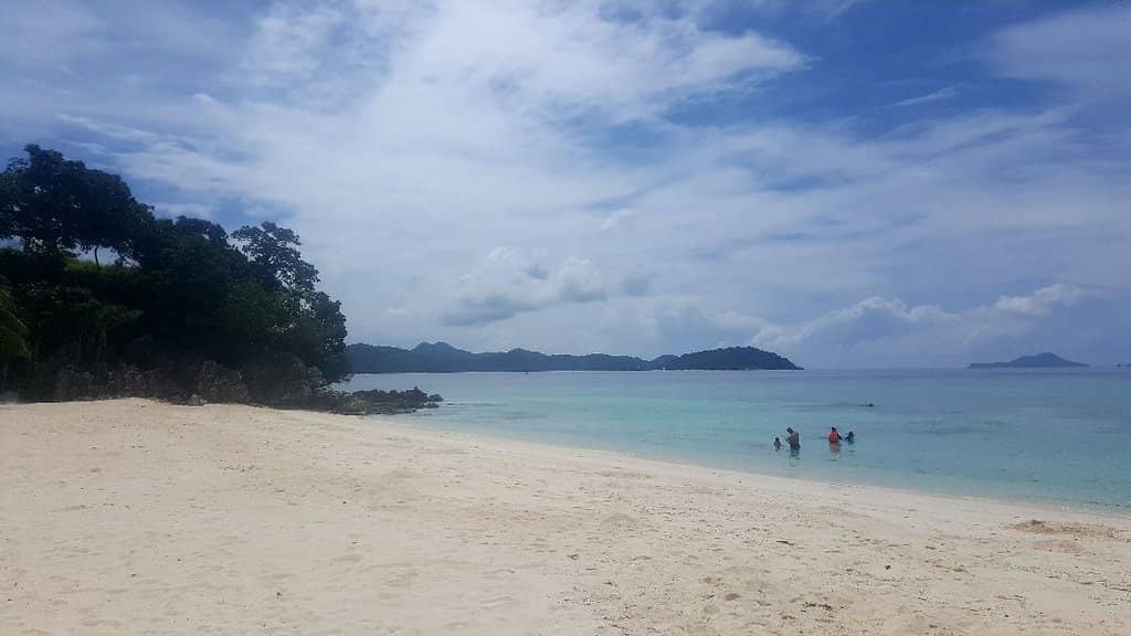 Shaded Coconut Groves