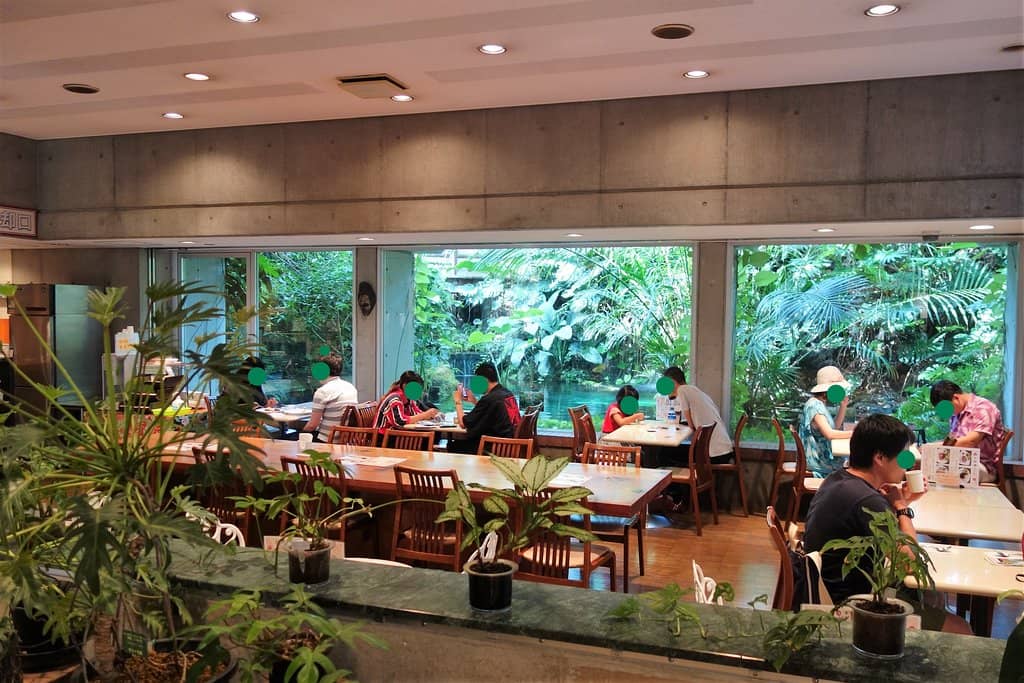 Diverse Tropical Flora