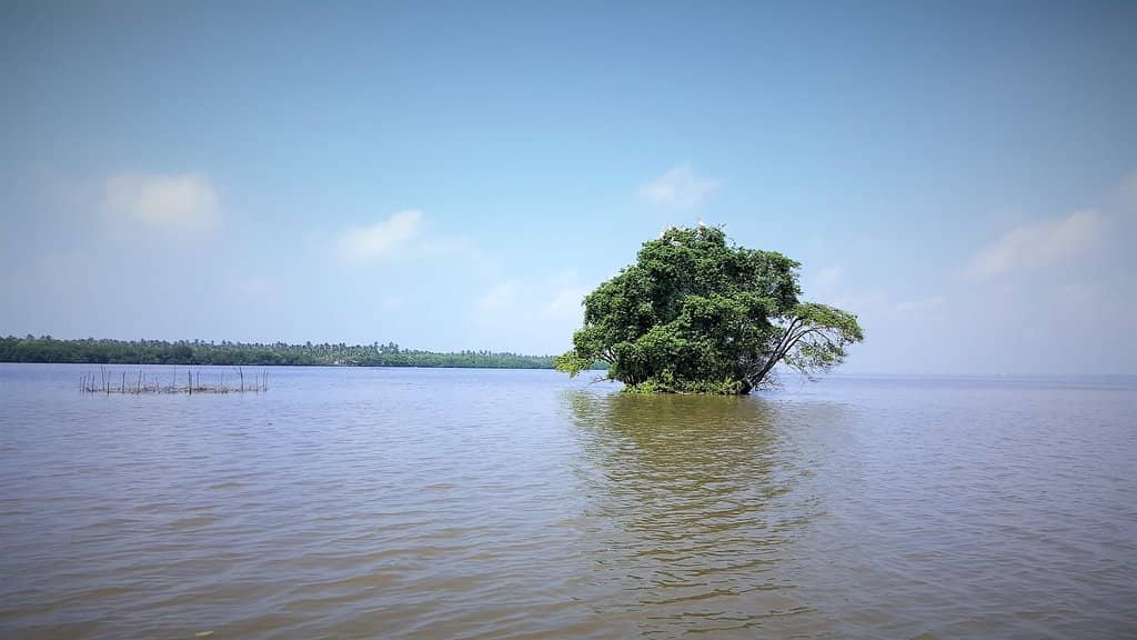 Monkey Island Encounters