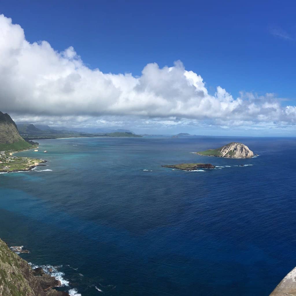 Whale Watching (Seasonal)