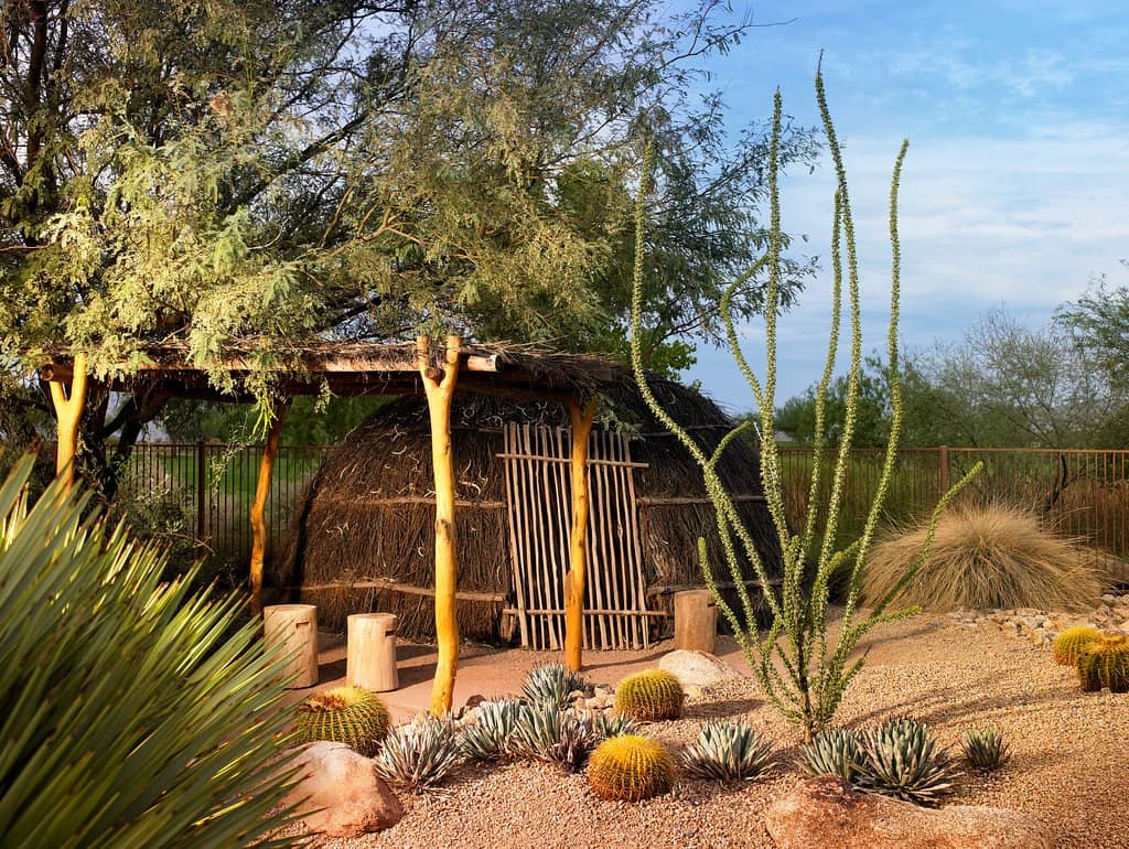 Saltwater Pool & Lounges