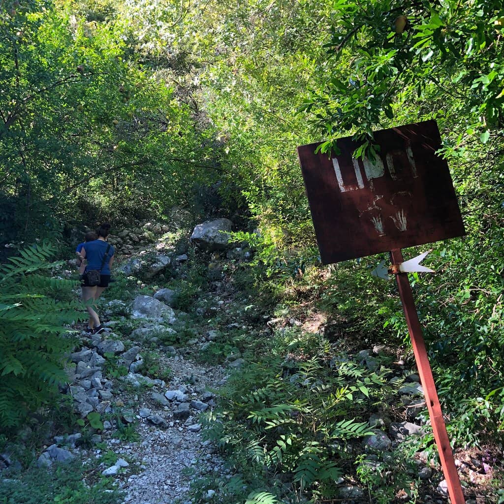 Scenic Hillside Walk