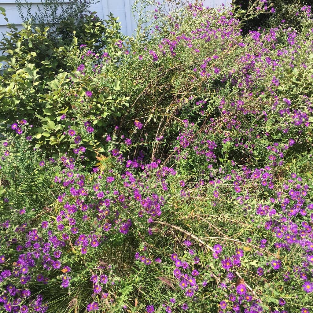 Black Experiences at Bulloch Hall