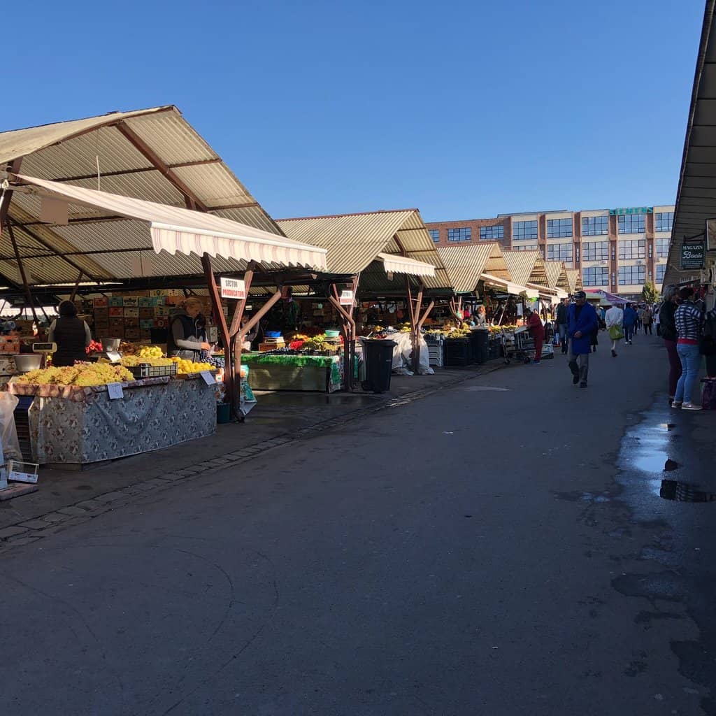 Vibrant Flower Displays