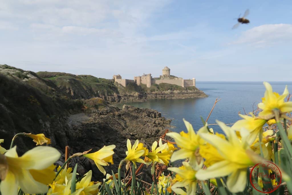 Coastal Promontory