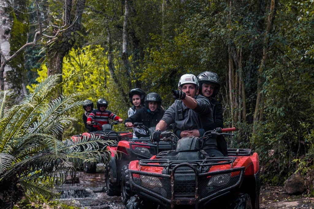 Bungee Jump Excitement