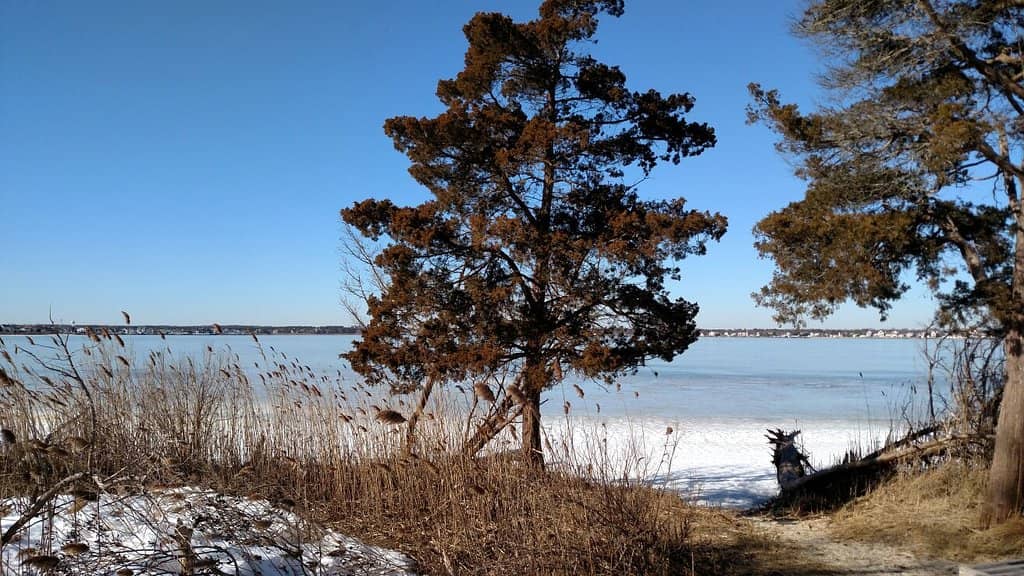 Barnegat Bay Views