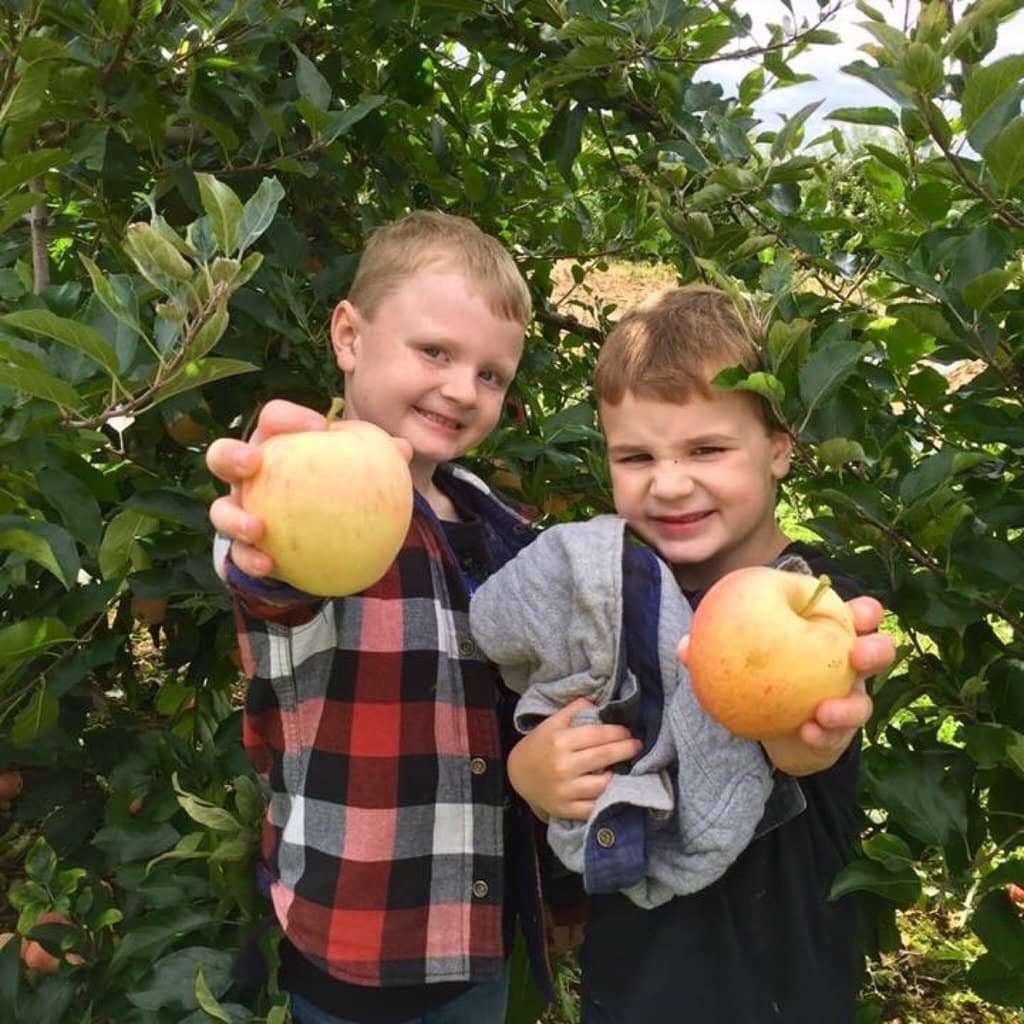 Autumn Fall Festival