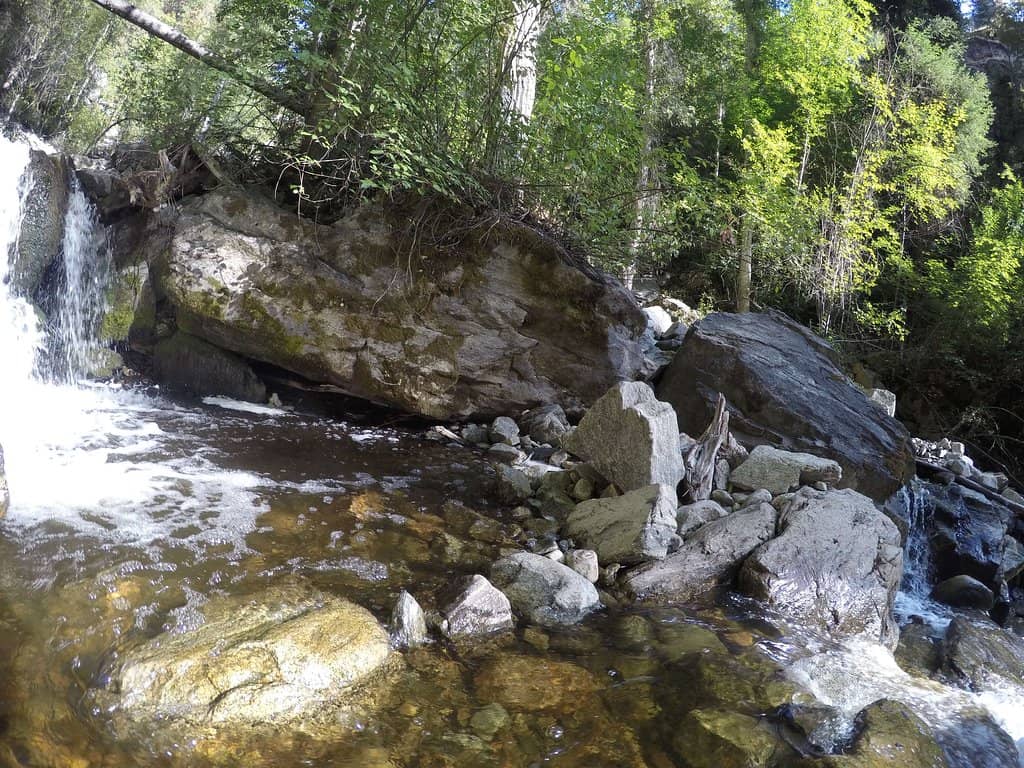 Creek-Side Trail