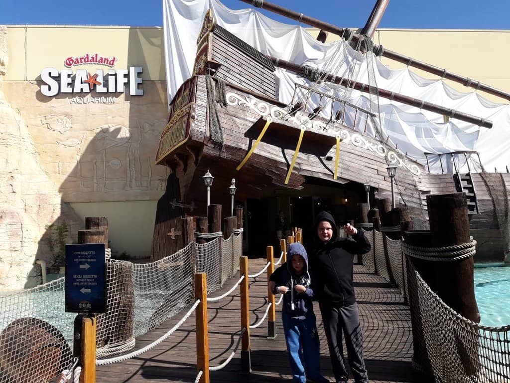Sea Lion Shows