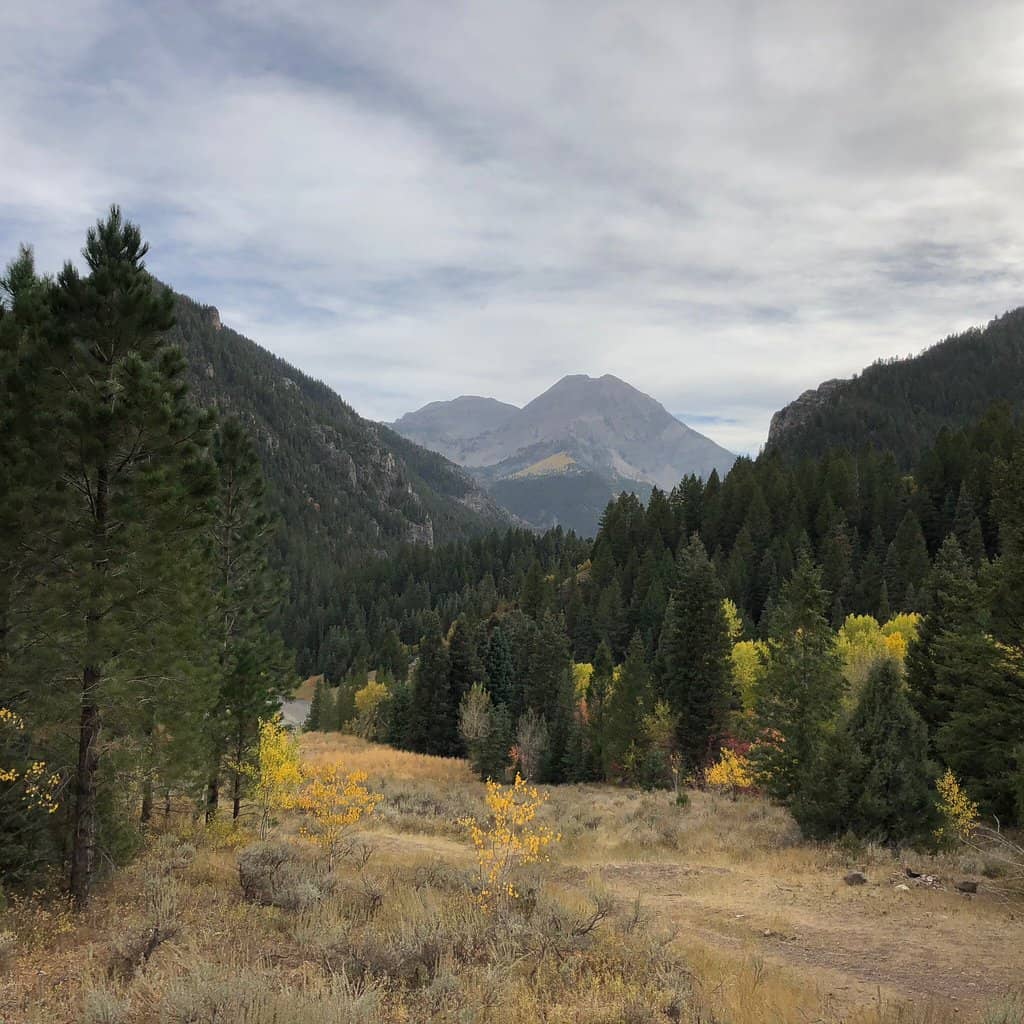 Alpine Scenic Loop Drive