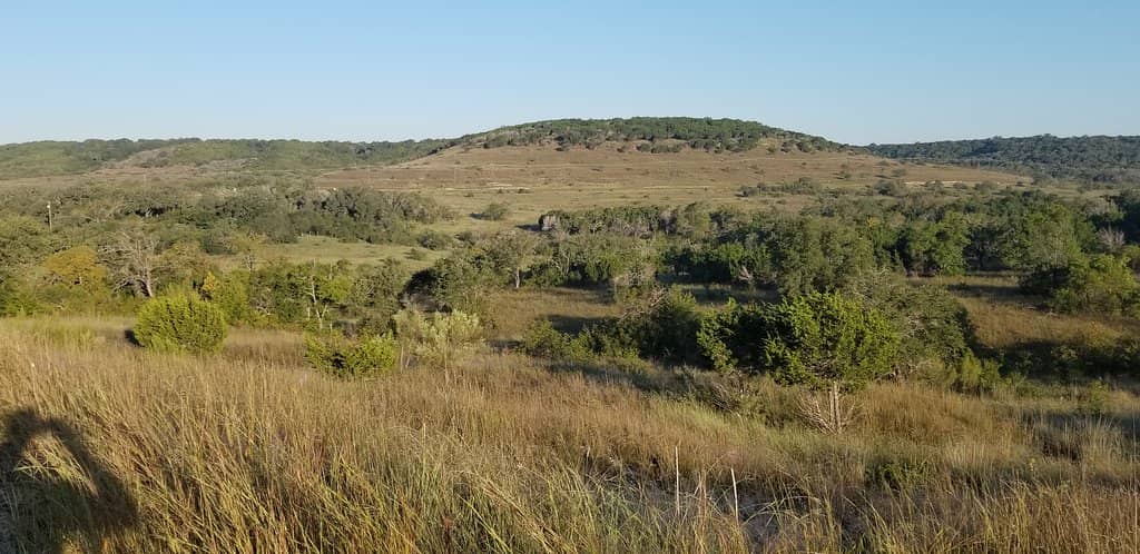 Cactus Trail