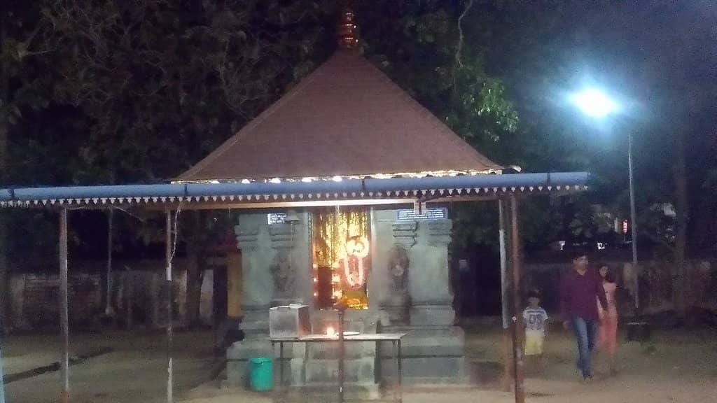 Temple Elephants