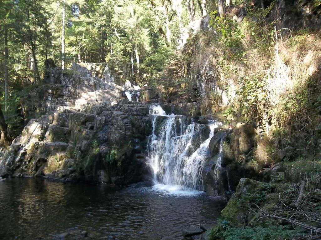 Vertical photo