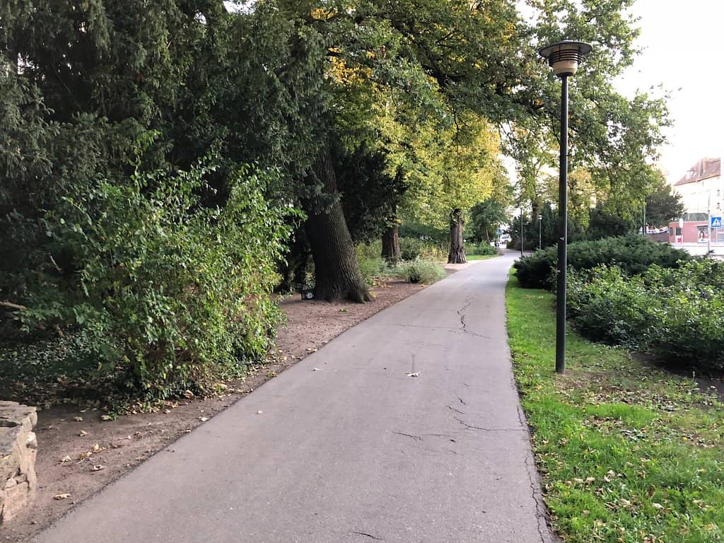 Vibrant Green Spaces