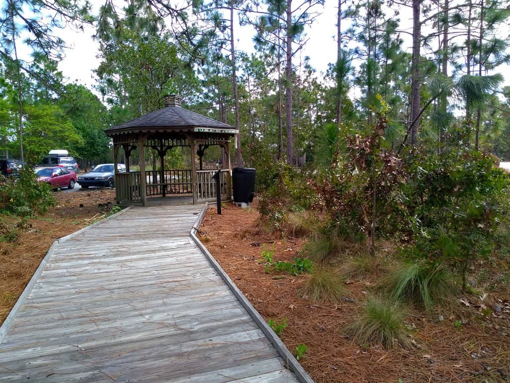 Updated Playground