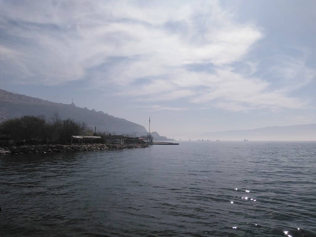 Vertical photo
