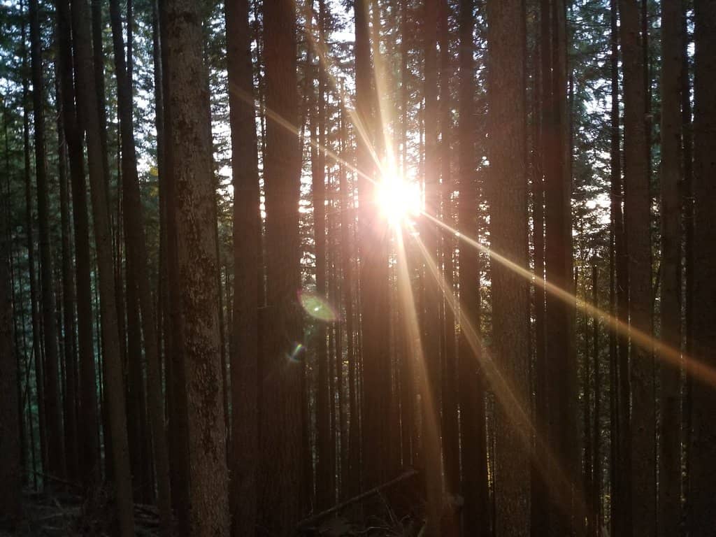 The New Trail's Switchbacks