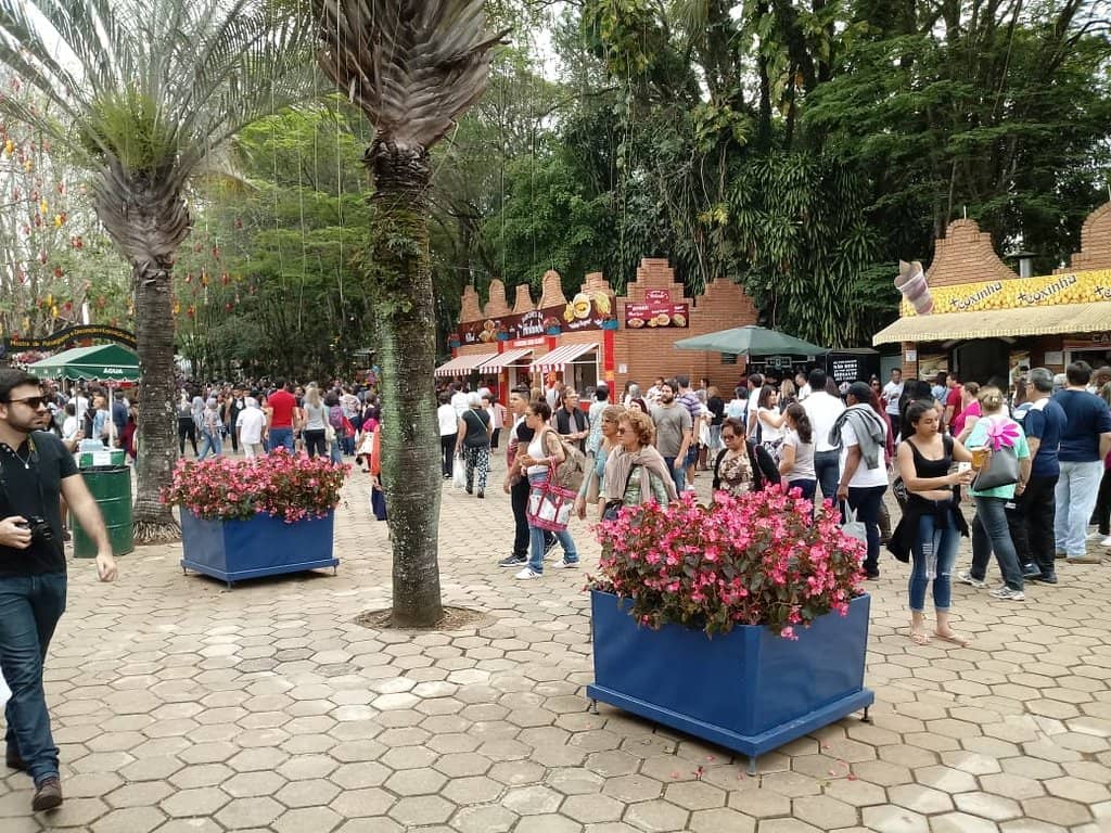 Dutch Culture & Gastronomy