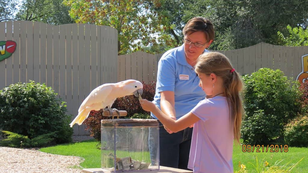 Snake & Gator Shows