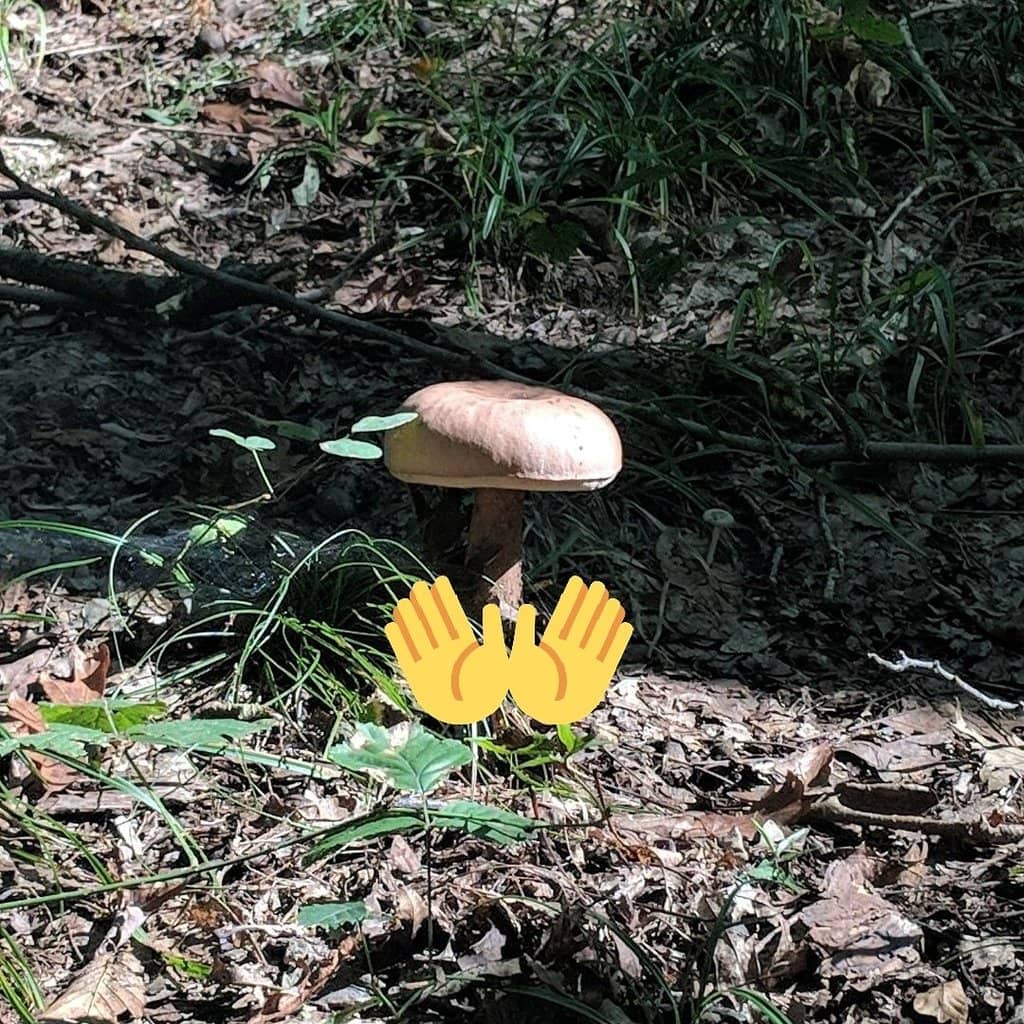 Stunning Arboretum & Gardens