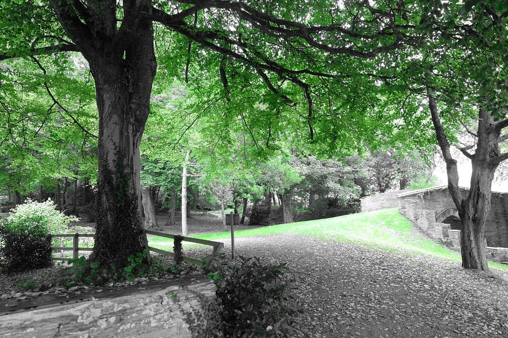 Lush Gardens and Deer Park