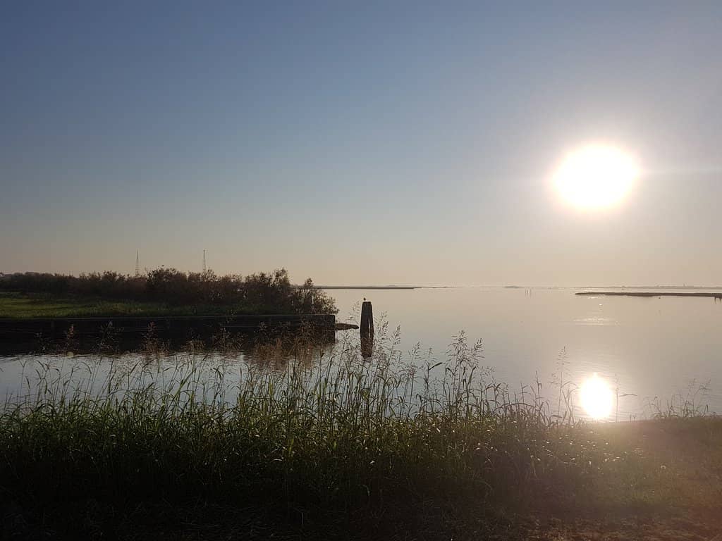 Expansive Green Spaces