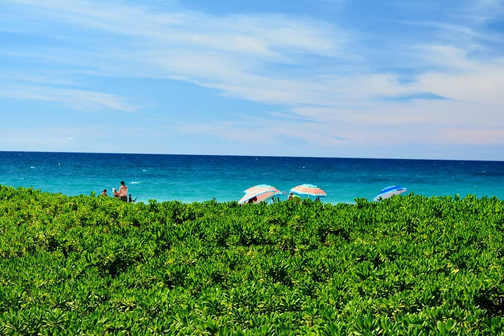 Expansive White Sand Beach