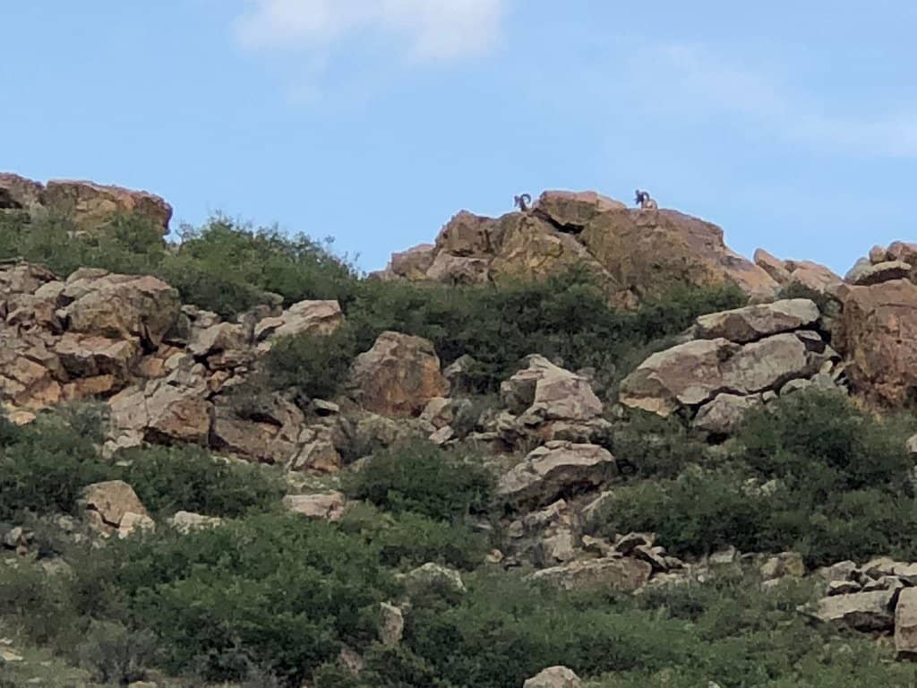 Red Cliffs Trail