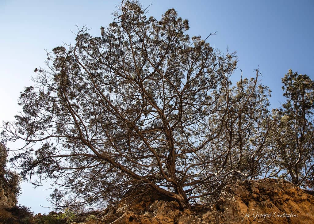 Golden Sands and Crystal Waters