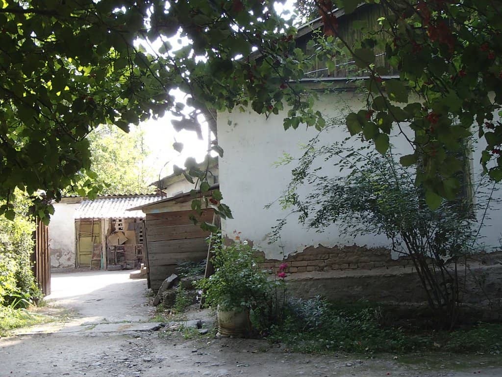Fruit Trees