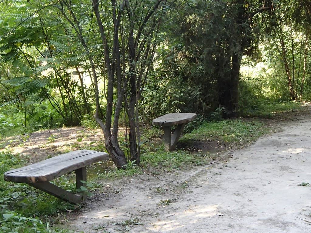 Jogging & Cycling Paths