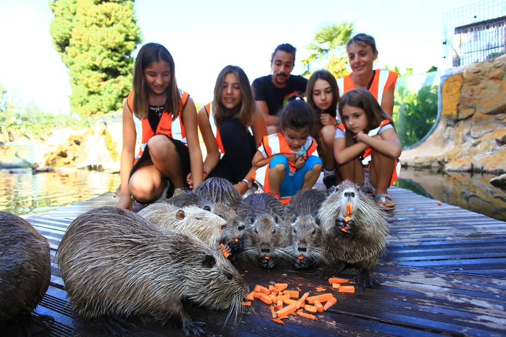 Europe's Largest Freshwater Aquarium