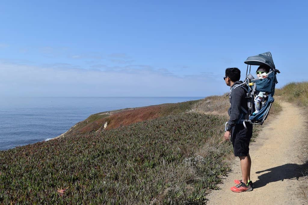 Churning Surf Views