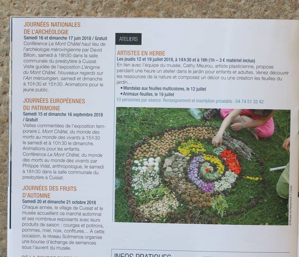 Local Ceramics & Photography