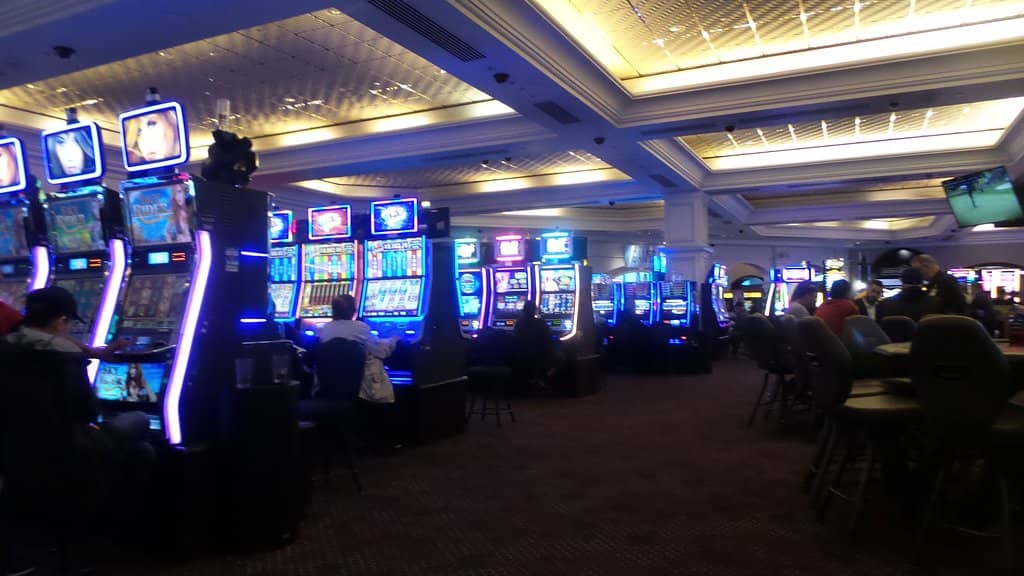 Live Music & Entertainment