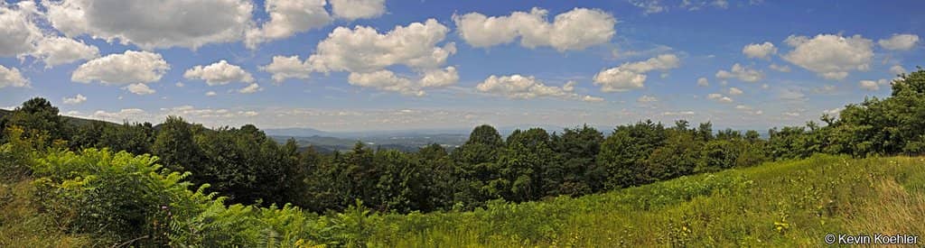 The Apple House Cider Donuts