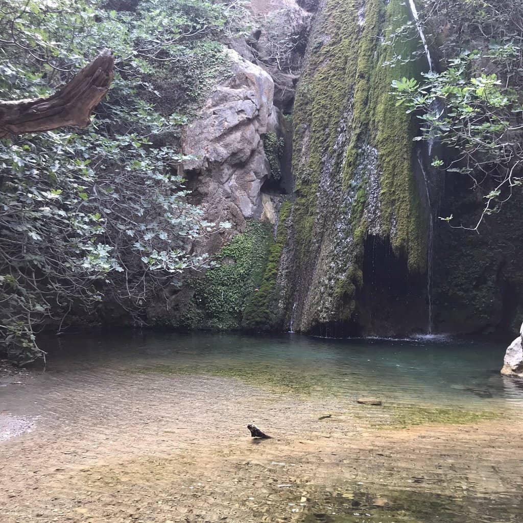 Lush Gorge Trail