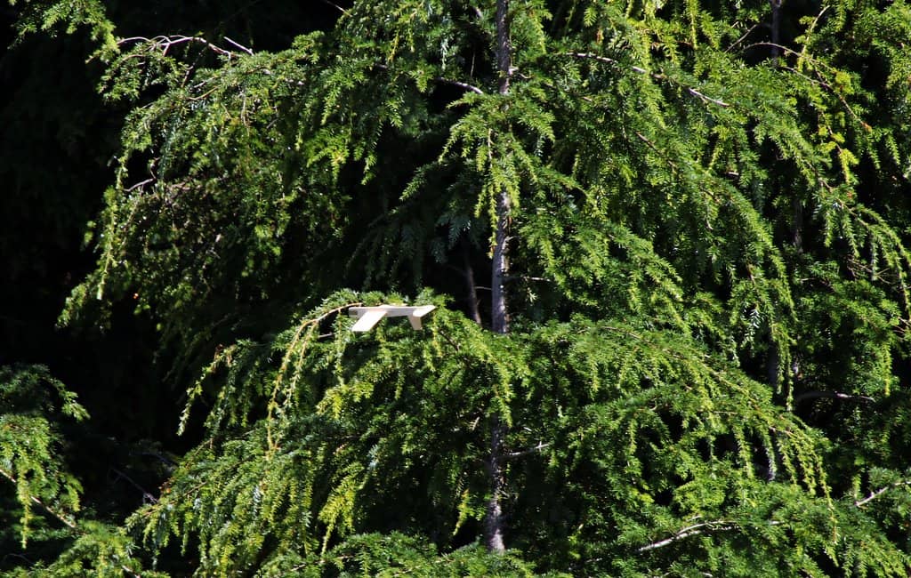 Historic Mural Spiral