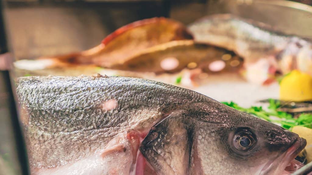 Fresh Seafood Delights