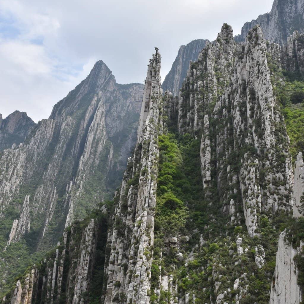 Vertical photo