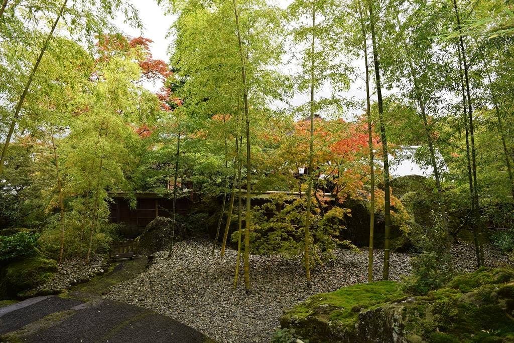 Serene Japanese Garden