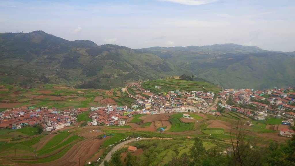 Terraced Garlic Fields