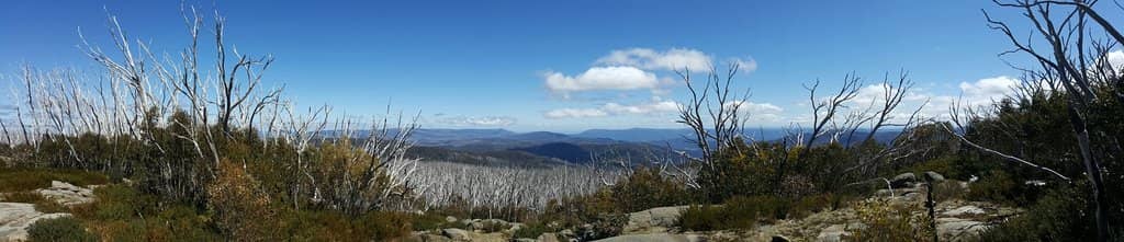 Scenic Walking Trails